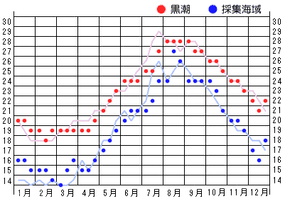 2019年水温グラフ